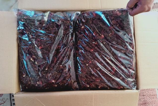 Services 𝐀𝐕𝐀𝐈𝐋𝐀𝐁𝐋𝐄 𝐃𝐑𝐈𝐄𝐃